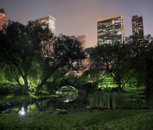 Photo of Central Park on a misty foggy night in New York City. taken at the pond near 59th street and Columbus avenue.